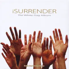 I Surrender (feat. Kim McNicholas & Diego Cano) Song Lyrics