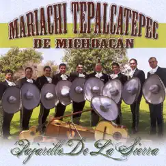 Pajarillo De La Sierra by Mariachi Tepalcatepec De Michoacan album reviews, ratings, credits