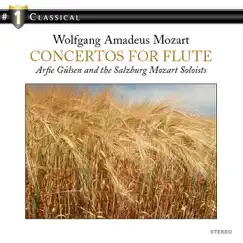 Concerto No. 2 in D Major for Flute and Orchestra, K. 314: II. Adante ma non troppo Song Lyrics