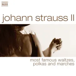Village Swallows from Austria, Waltz, Op. 164 Song Lyrics