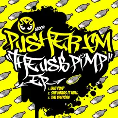 The Usb Pimp - EP by PusherFM album reviews, ratings, credits