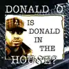 Is Donald In the House? album lyrics, reviews, download
