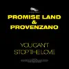 You Can't Stop the Love - Single album lyrics, reviews, download