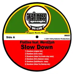 Slow Down (feat. Werd2jah) by Flatline album reviews, ratings, credits