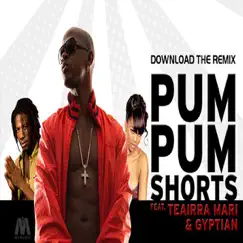 Pum Pum Shorts (feat. Gyptian & Teairra Mari) Song Lyrics