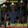 La Flor del Jardinero album lyrics, reviews, download