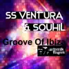 Groove of Ibiza - Single album lyrics, reviews, download