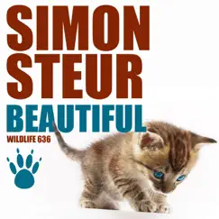 Beautiful - Single by Simon Steur album reviews, ratings, credits