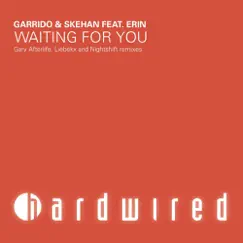 Waiting For You (Liebekx Remix) (feat. Erin) Song Lyrics