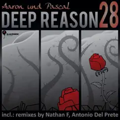 Deep Reason - EP by Aaron und Pascal album reviews, ratings, credits