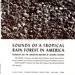 The Dry Season: Cicada, Spotted Chachalaca, Great Tinamou, Wattled Guan, Red Wattled Curassow Song Lyrics