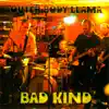 Bad Kind - EP album lyrics, reviews, download