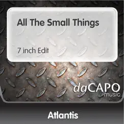 All the Small Things (7-Inch Edit) Song Lyrics