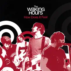 How Does It Feel by The Waking Hours album reviews, ratings, credits
