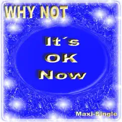 It's Ok Now (Radio Edit) Song Lyrics