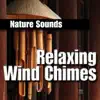 Relaxing Wind Chimes album lyrics, reviews, download