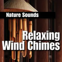 Tranquil Brass Wind Chimes Song Lyrics