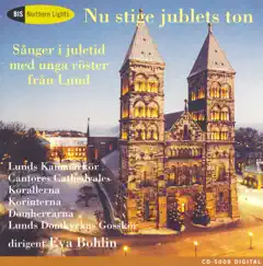 Swedish Christmas Songs by Lund Chamber Choir, Eva Svanholm Bohlin, Lund Cantores Cathedrales, Lund Korallerna Girls Choir, Lund Korinterna Girls Choir, Lund Cathedral Boy's Choir-Domherrarna, Lund Cathedral Boy's Choir-Juniorerna & Lund Cathedral Boy's Choir-Seniorerna album reviews, ratings, credits