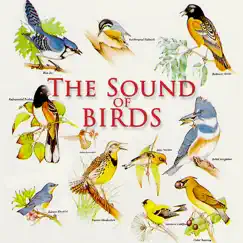 The Sound of Birds by Nature Sounds album reviews, ratings, credits