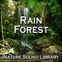 Rain Forest (Nature Sounds for Deep Sleep, Relaxation, Meditation, Spa, Sound Therapy, Studying, Healing Massage, Yoga and Chakra Balancing) - Single by Nature Sound Library album reviews, ratings, credits