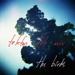 The Birds (Matthew Dear Remix) Song Lyrics