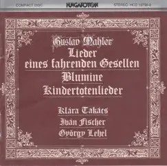 Lieder eines fahrenden Gesellen (Songs of a Wayfarer): I. Wenn mein Schatz Hochzeit macht Song Lyrics