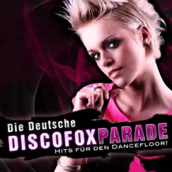 Verdammt ich will Dich (Single Version) Song Lyrics