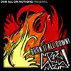 Burn It All Down - Single album lyrics, reviews, download
