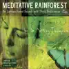 Meditative Rainforest album lyrics, reviews, download