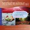 The Ultimate Relaxation Kit, Vol.2 (Thunderstorm, Forest Ambience, Rain and Wind, Babbling Brook) album lyrics, reviews, download