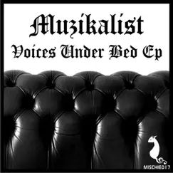 Voices Under Bed (Pfeíffer Remix) Song Lyrics