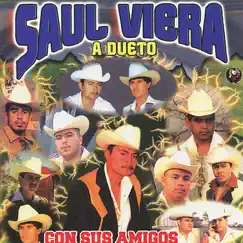 A Dueto Con Sus Amigos by Saul Viera El Gavilancillo album reviews, ratings, credits