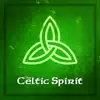 The Celtic Spirit album lyrics, reviews, download