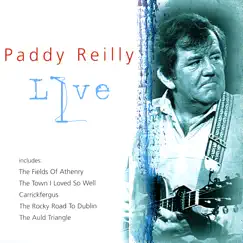 Rocky Road to Dublin Song Lyrics