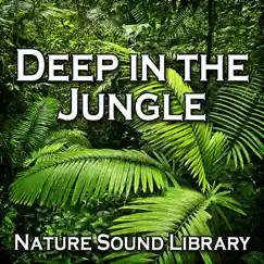 Deep In the Jungle (Nature Sounds for Deep Sleep, Relaxation, Meditation, Spa, Sound Therapy, Studying, Healing Massage, Yoga and Chakra Balancing) - Single by Nature Sound Library album reviews, ratings, credits