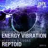 Energy Vibration (feat. Neurodriver) song lyrics