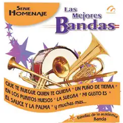 Serie Homenaje by Banda Los Yaki album reviews, ratings, credits