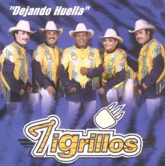 Dejando Huella by Los Tigrillos album reviews, ratings, credits