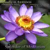 Relaxing As Awareness: Instant Stress Relief - Contemplations and Meditations With Bentinho Massaro album lyrics, reviews, download