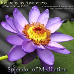 Relaxing As Awareness: Instant Stress Relief - Contemplations and Meditations With Bentinho Massaro by Splendor of Meditation album reviews, ratings, credits