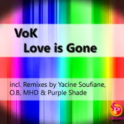 Love Is Gone (O.B Remix) Song Lyrics