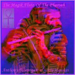 The Magik Flute of the Pharaoh (feat. Anthony Brannigan) by Pete Hawkes album reviews, ratings, credits