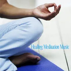 Traditional Indian Flute: Music for Meditation - EP by Healing Meditation Music album reviews, ratings, credits