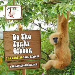 The Funky Gibbon (feat. Gibbons) Song Lyrics