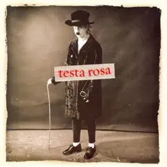 Testa Rosa by Testa Rosa album reviews, ratings, credits