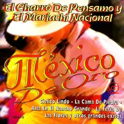 La Barca de Oro Song Lyrics