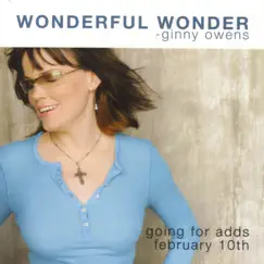 Wonderful Wonder (radio version) Song Lyrics