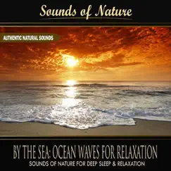 By the Sea: Ocean Waves for Relaxation - Single by Sounds of Nature for Deep Sleep and Relaxation album reviews, ratings, credits