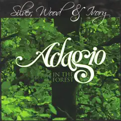 Adagio In the Forest by Silver, Wood & Ivory album reviews, ratings, credits