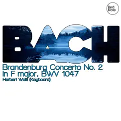Brandenburg Concerto No. 2 in F major, BWV 1047 : II. Andante Song Lyrics